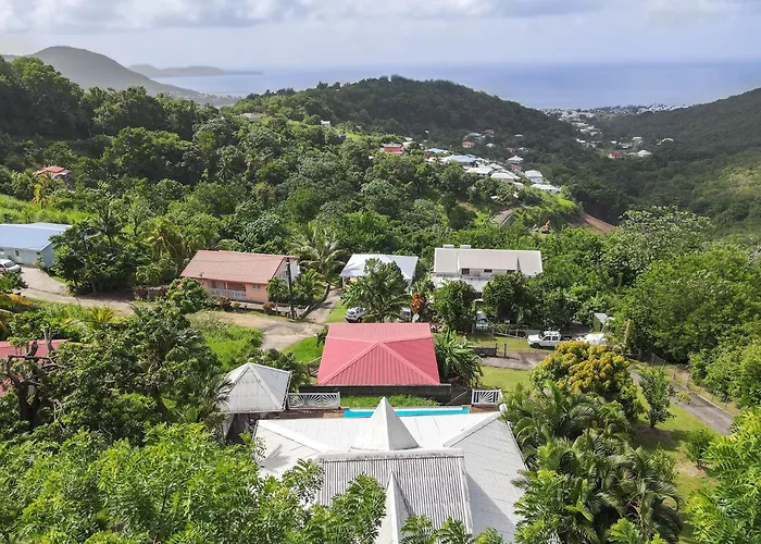 Villa Palmier rouge : 3 ch, piscine à débordement, vue mer et végétation Sainte-Luce